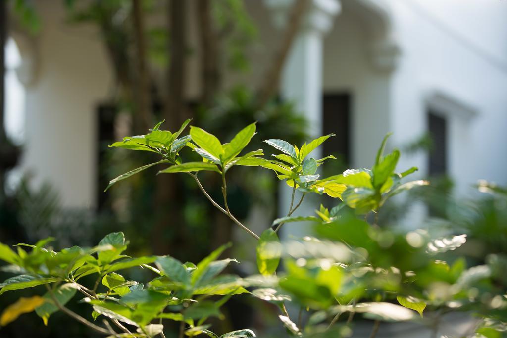 Sonalong Boutique Village & Resort Siem Reap Exteriér fotografie